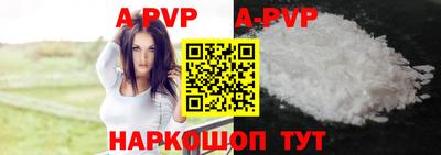 a pvp Славгород