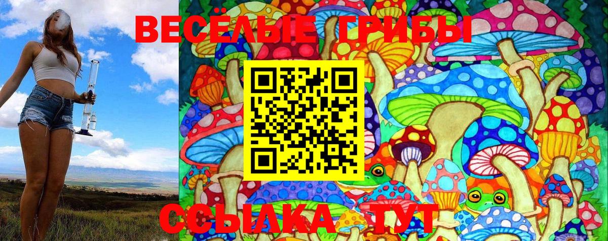 Псилоцибиновые грибы Cubensis Нерюнгри